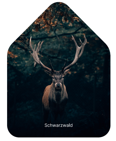 Zwitscherbox Schwarzwald Deer